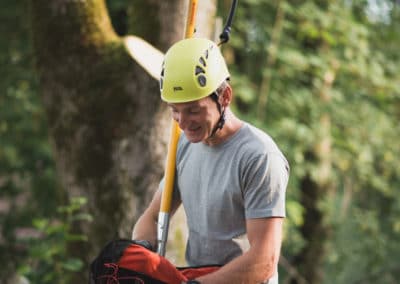 Matthias Kreuzer - Baumpflege & Baummanagement im Raum Salzburg